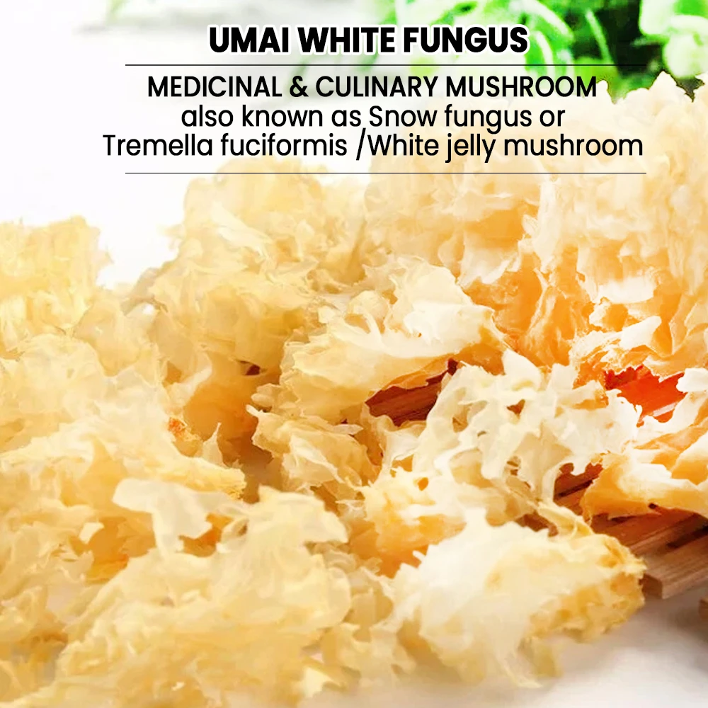 Umai White Fungus 500g