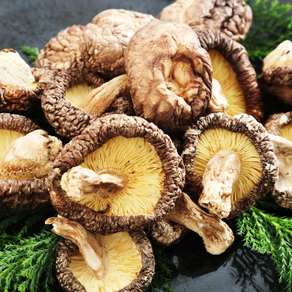UMAI Dry Shiitake Mushroom 1KG