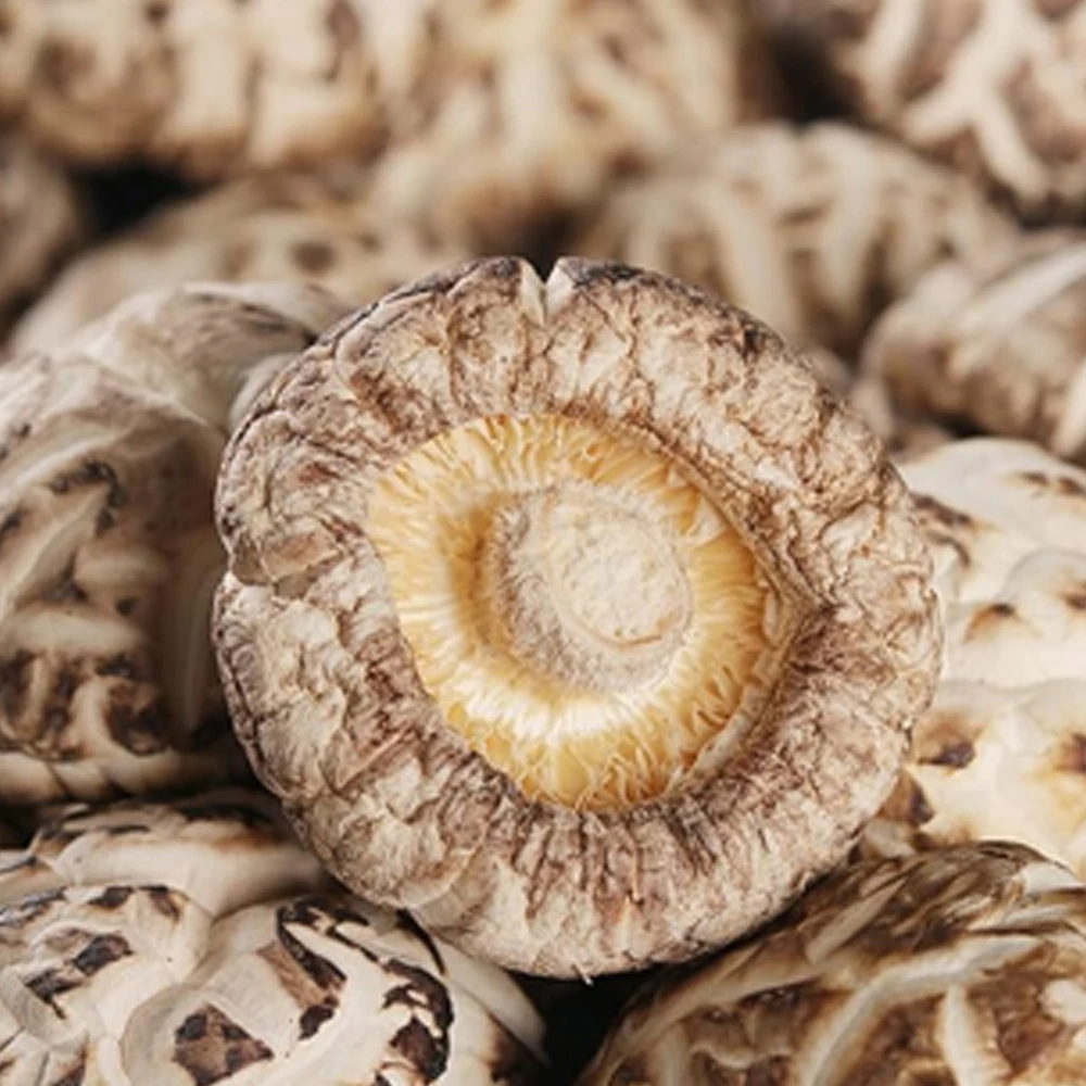 Dried Shiitake Mushroom 100g