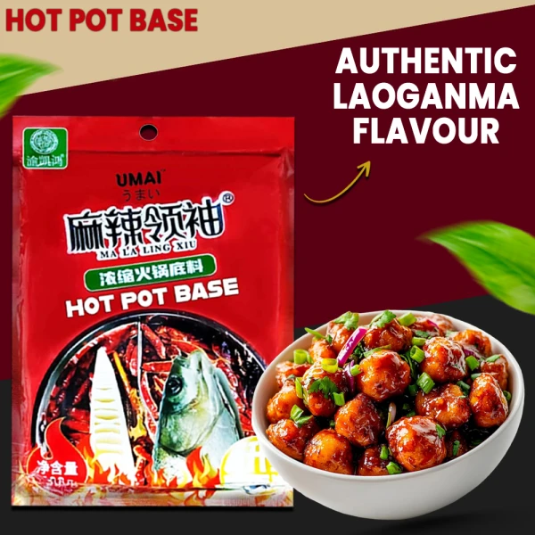 Laoganma Hot Pot Spice 300g