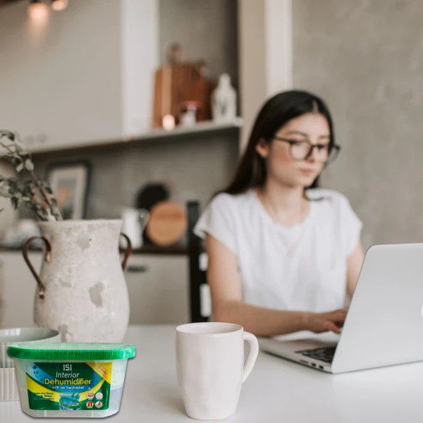 151 Interior Dehumidifier 225g