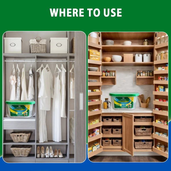 151 Interior Dehumidifier 225g