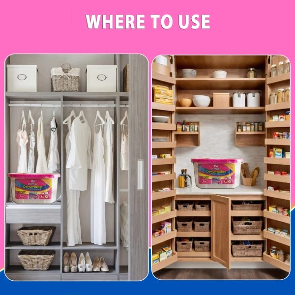 151 Interior Dehumidifier Rose 225g