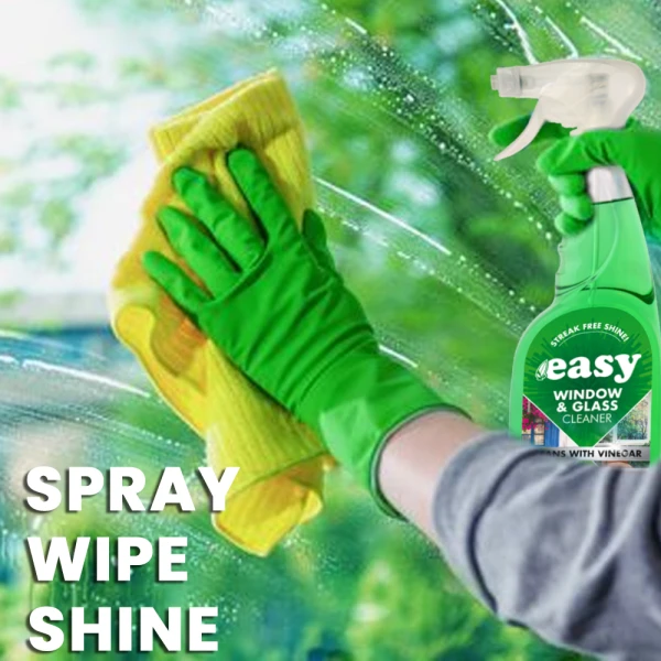 Easy Window & Glass Cleaner Spray 750ml