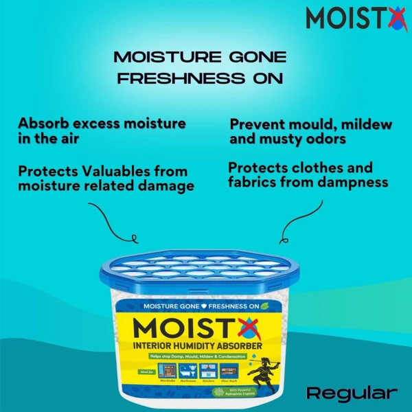 Moistx Interior Dehumidifier box 600ml Regular
