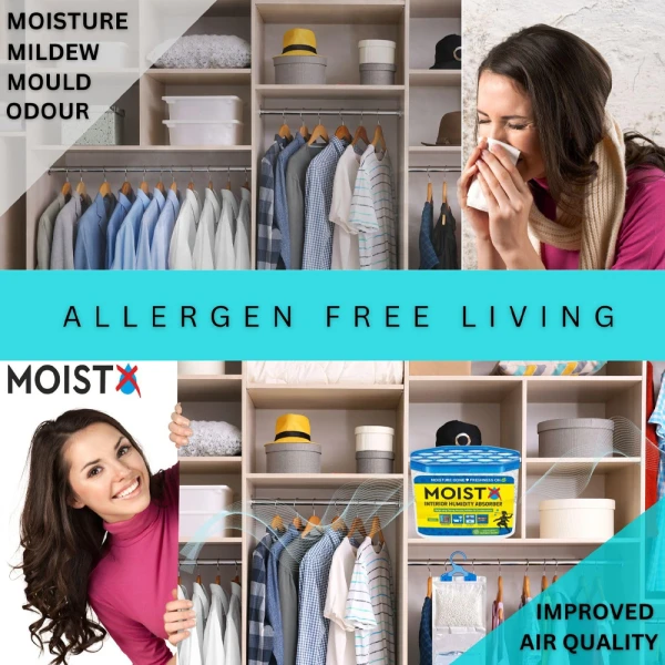 Moistx Interior Dehumidifier box 600ml Regular