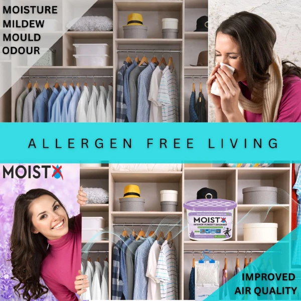 Moistx Interior Dehumidifier box 600ml Lavender