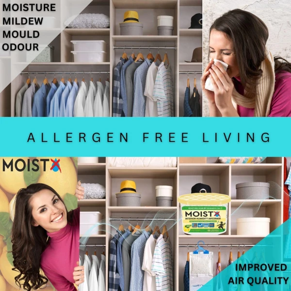 Moistx Interior Dehumidifier box 600ml Lemon