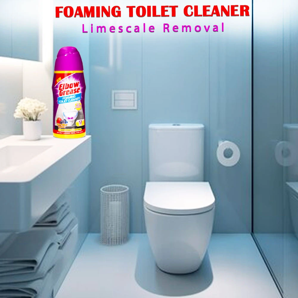 Toilet Cleaner Berry Blast 500g