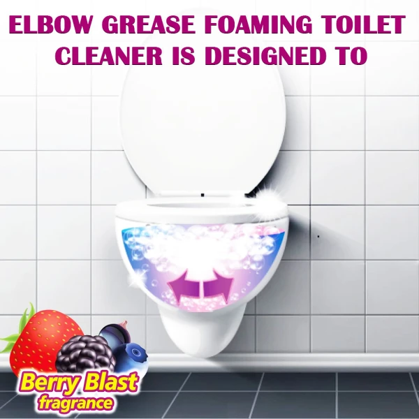 Toilet Cleaner Berry Blast 500g