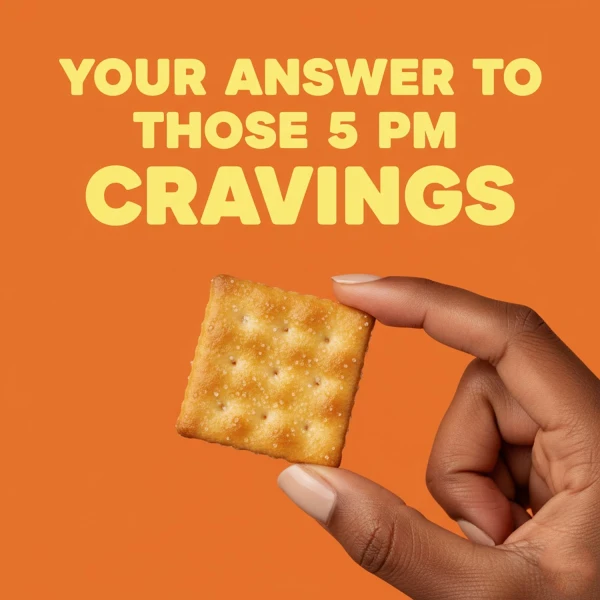 Lee Sugar Crackers 308g