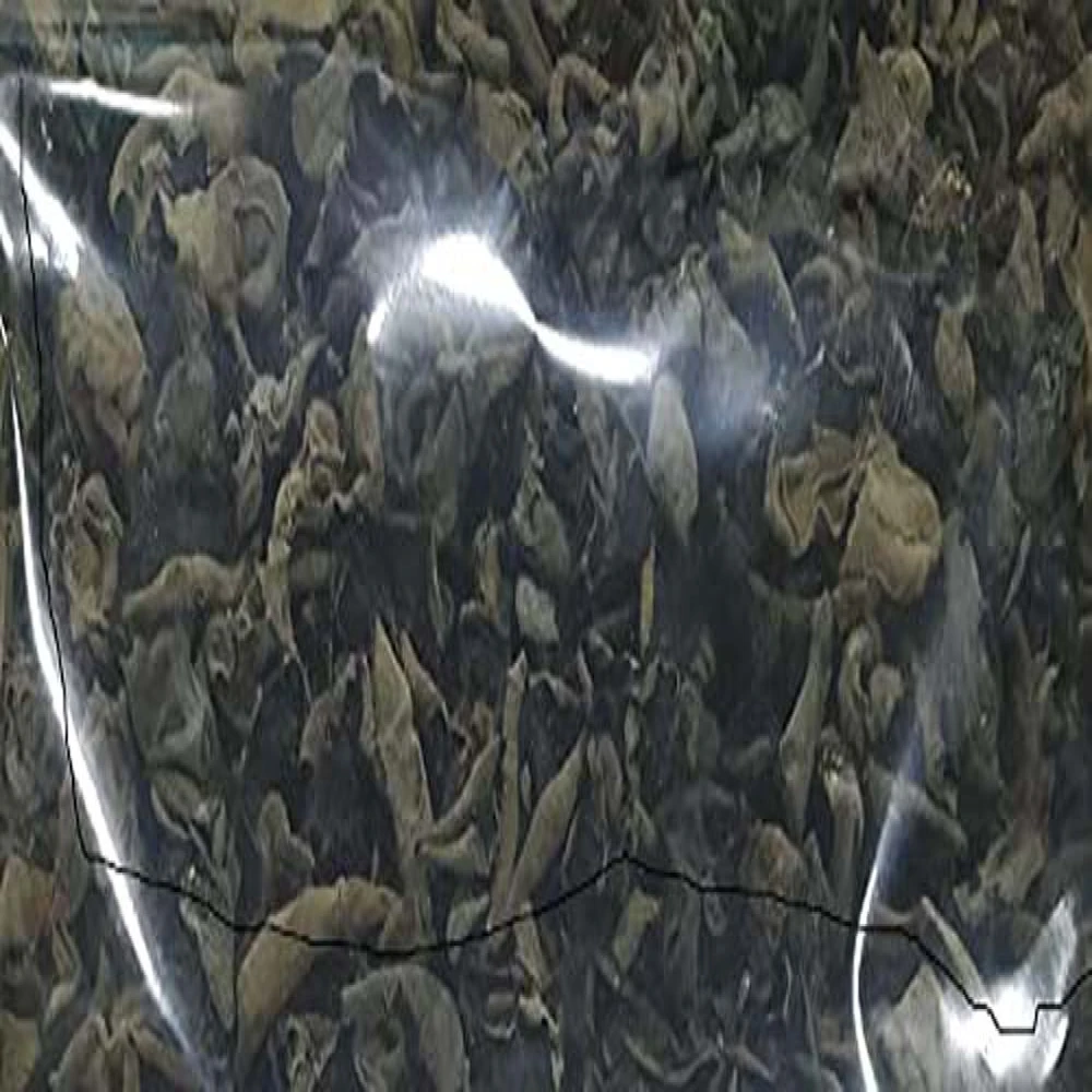 Umai Black Fungus 1Kg